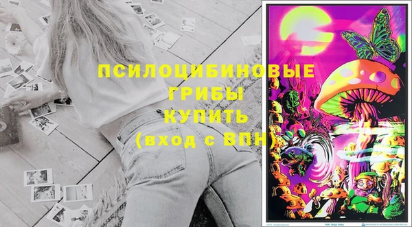 хмурый Вяземский