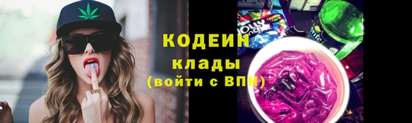 хмурый Вяземский
