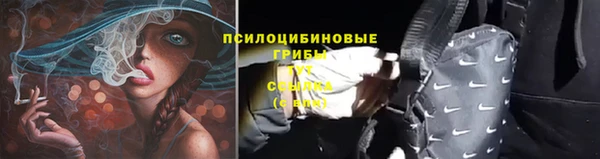 хмурый Вяземский