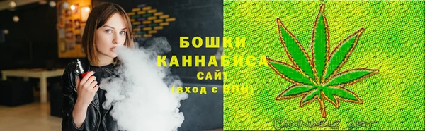 хмурый Вяземский