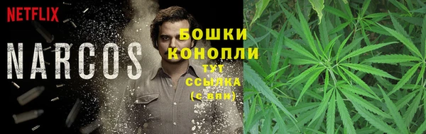 гидра Волоколамск