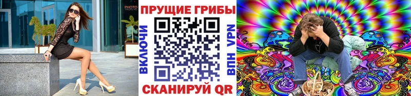 Галлюциногенные грибы ЛСД  Поворино 